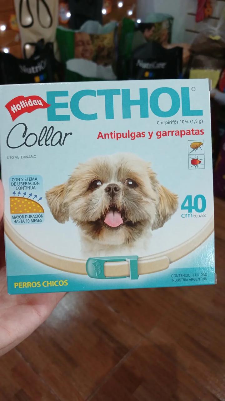 Collar Antipulgas ECTHOL Chico