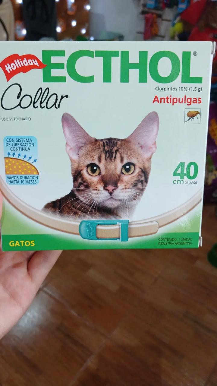 Collar Antipulgas ECTHOL Gato
