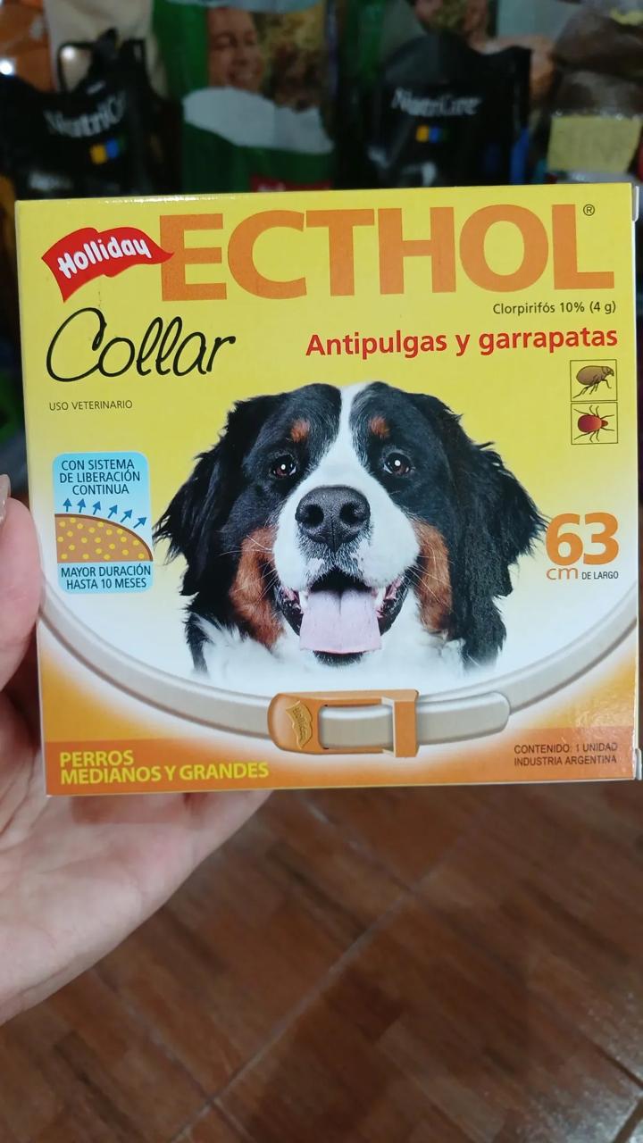 Collar Antipulgas ECTHOL Mediano-Grande